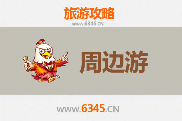 琼中什运乡深度游攻略：探秘黎苗风情与热带雨林秘境